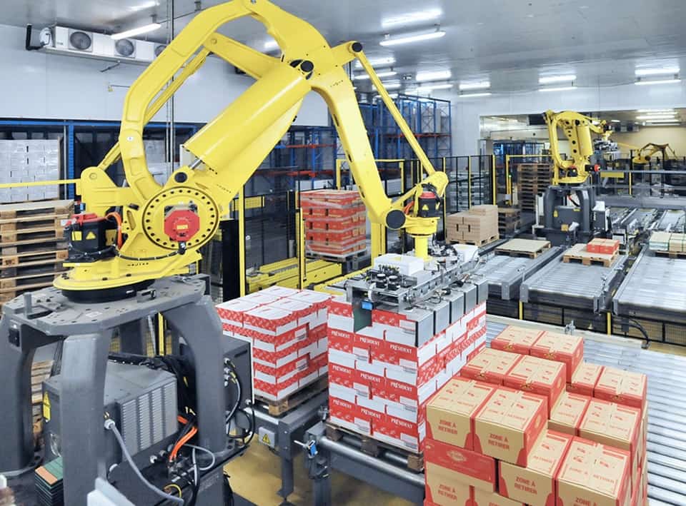 Robot xep bao - xếp hàng hóa lên pallet | Huynh Phuong Automation